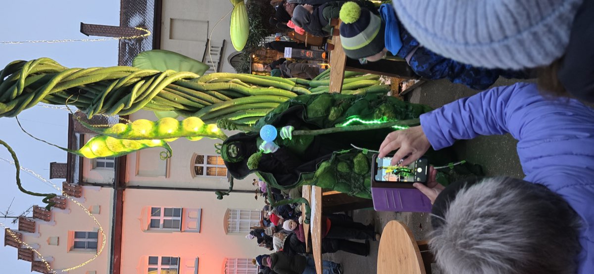 Der Waldwächter