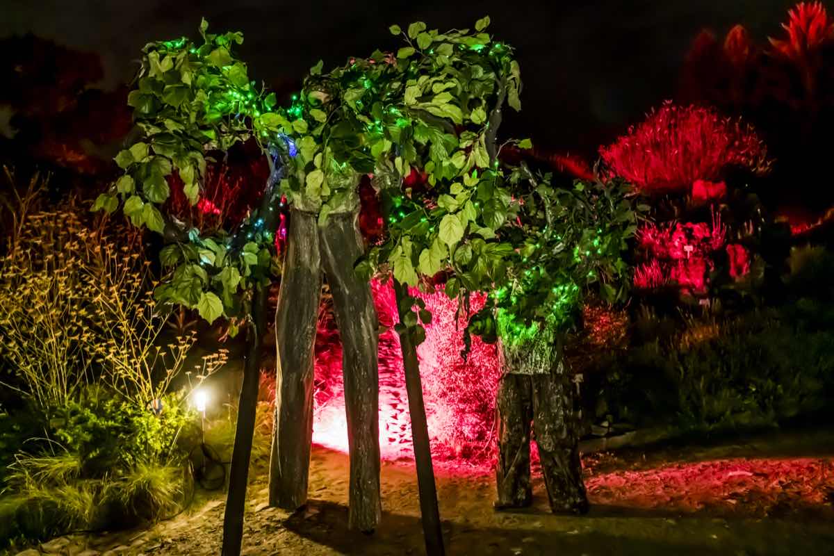 Living Trees