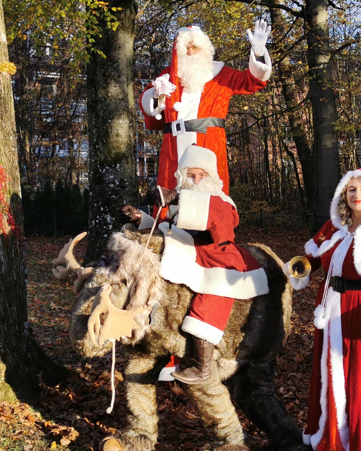 Weihnachtsgefährten