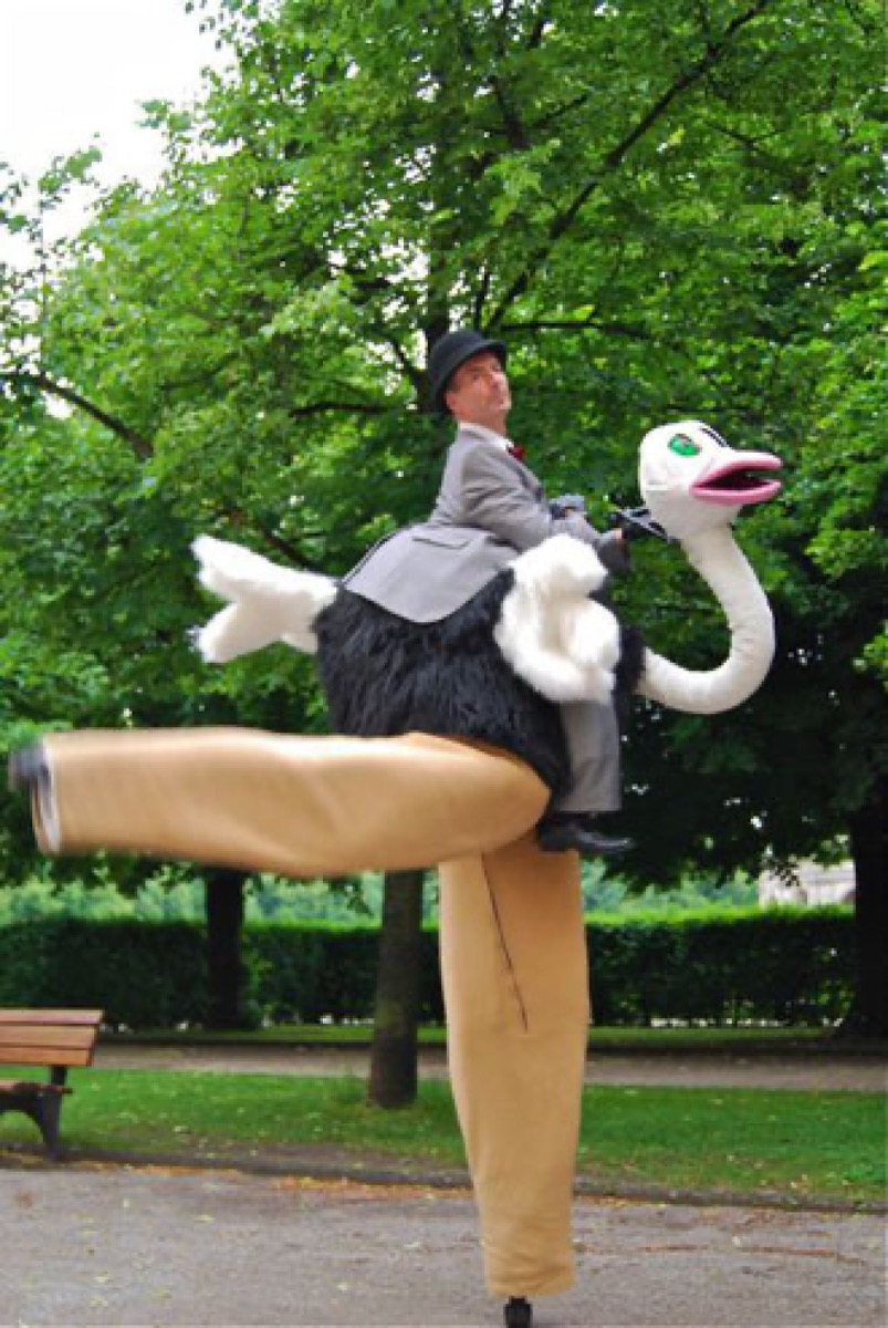 Straußendame Elisabeth