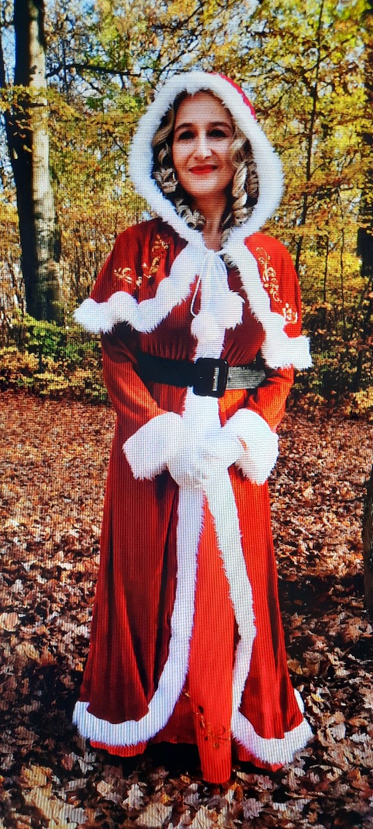 Weihnachtsgefährten