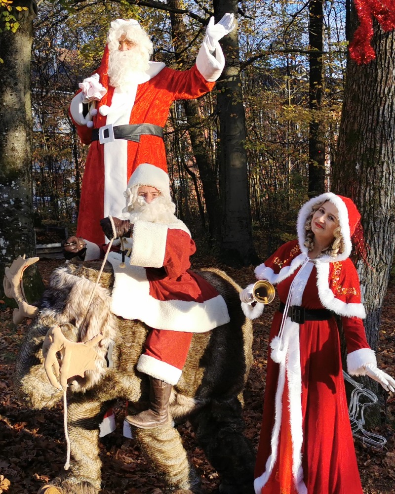 Weihnachtsgefährten