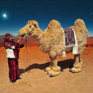 Walkact „Das Kamel“ und neu „die Kamelchen“