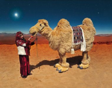 Walkact „Das Kamel“ und neu „die Kamelchen“